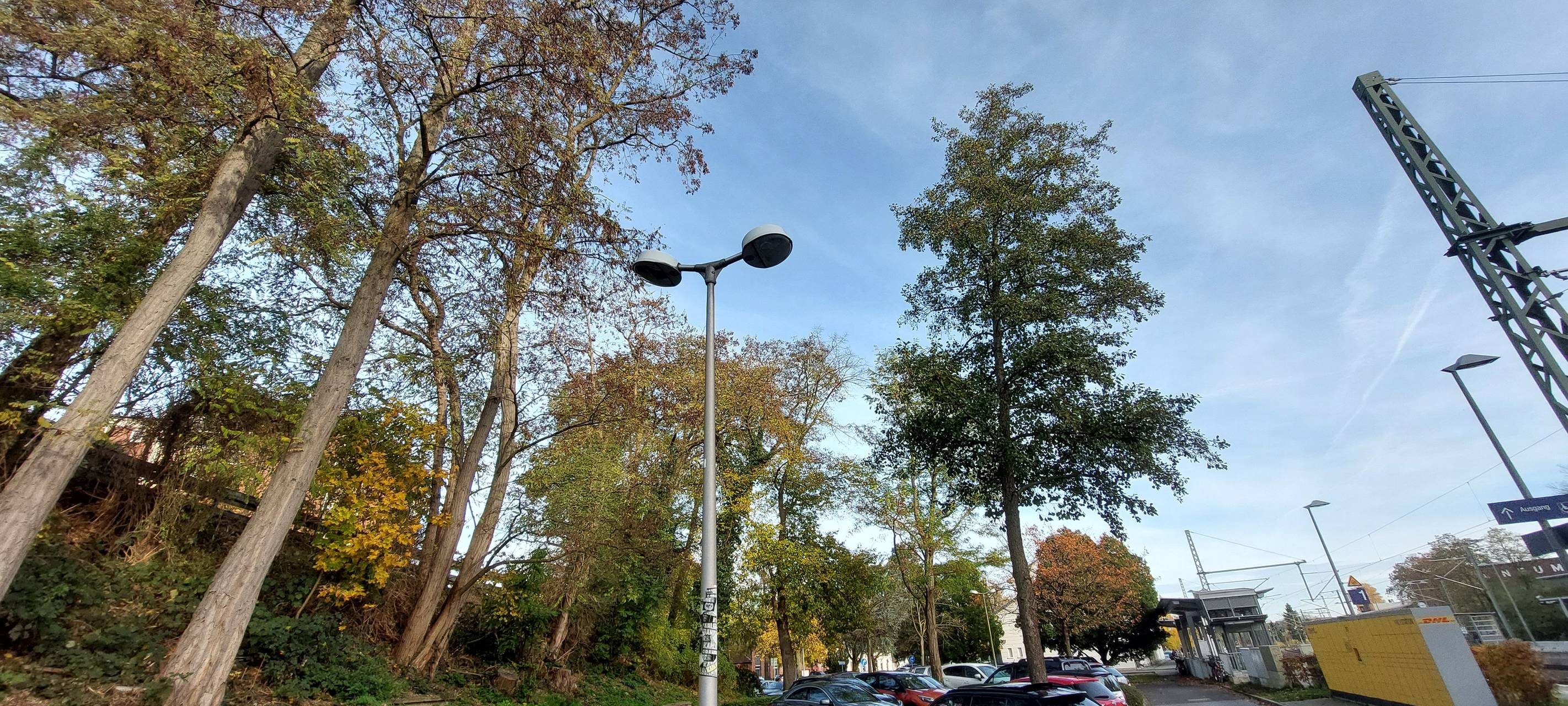 Eschweiler: Bäume am Hauptbahnhof müssen weichen