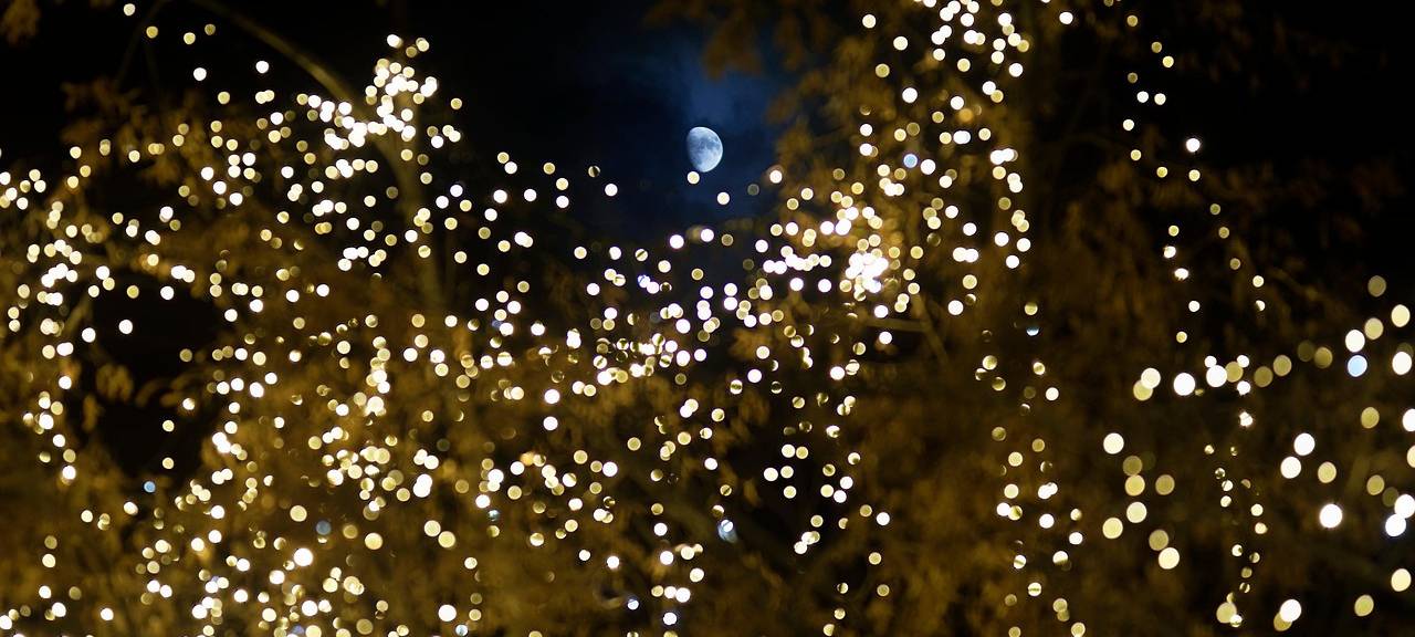 Bürgerbudget: Weihnachtsbeleuchtung auf Platz 1