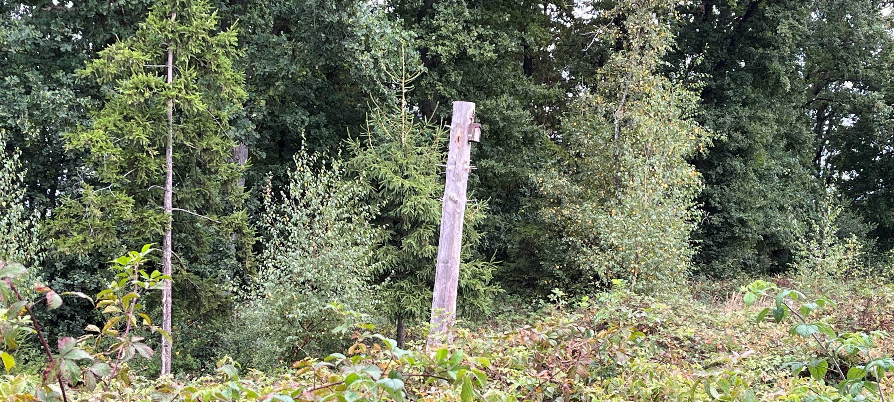 Herzogenraths neue Waldstrategie