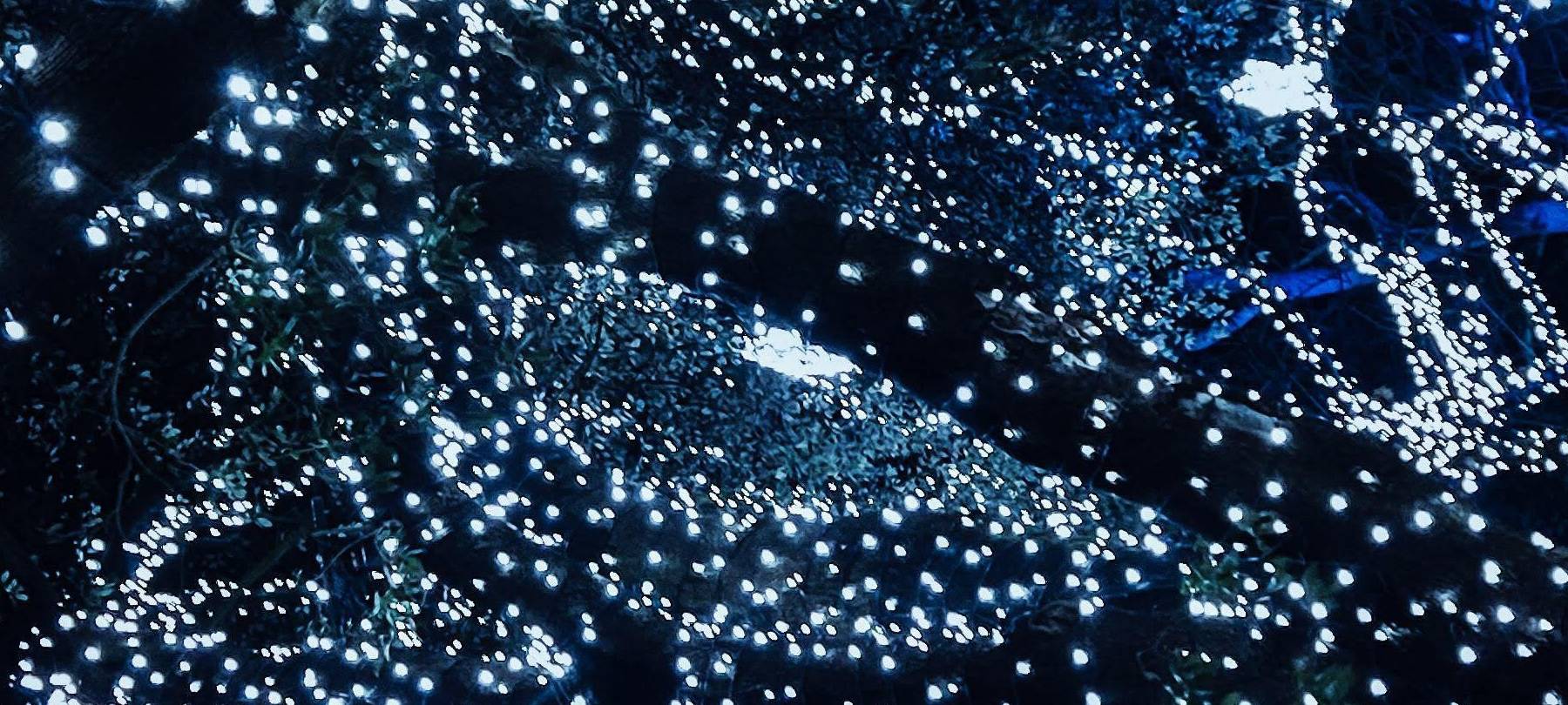 Bürgerbudget: Weihnachtsbeleuchtung auf Platz 1