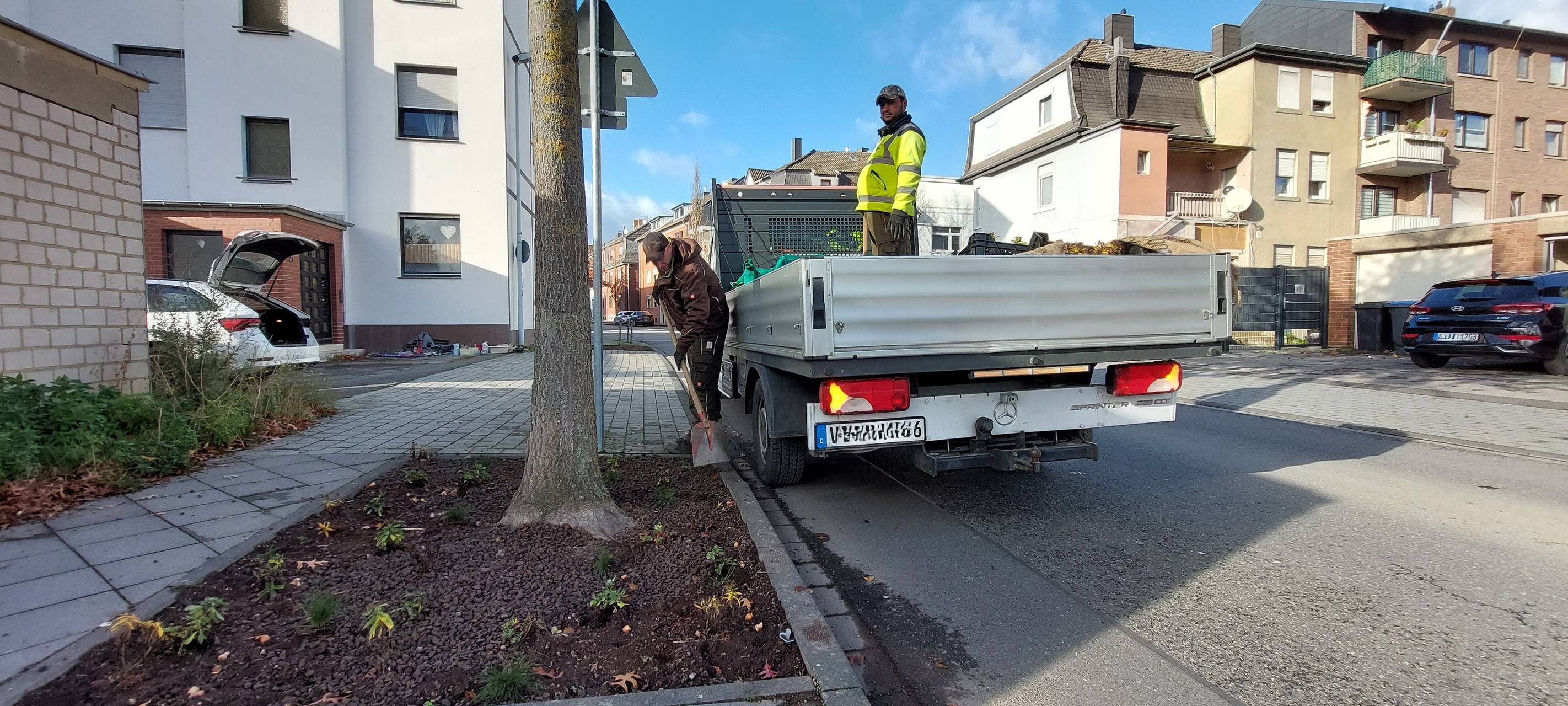 Schönere Beete für Eschweilers City