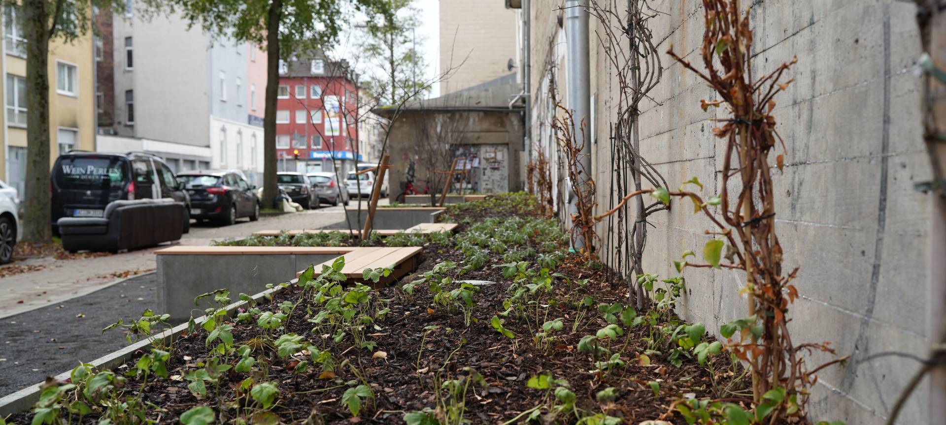 Aachen: Grüne Fassade für den Bunker in Forst