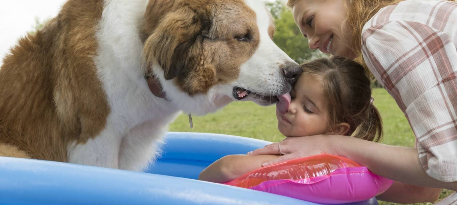 Bailey spielt mit der kleinen CJ.