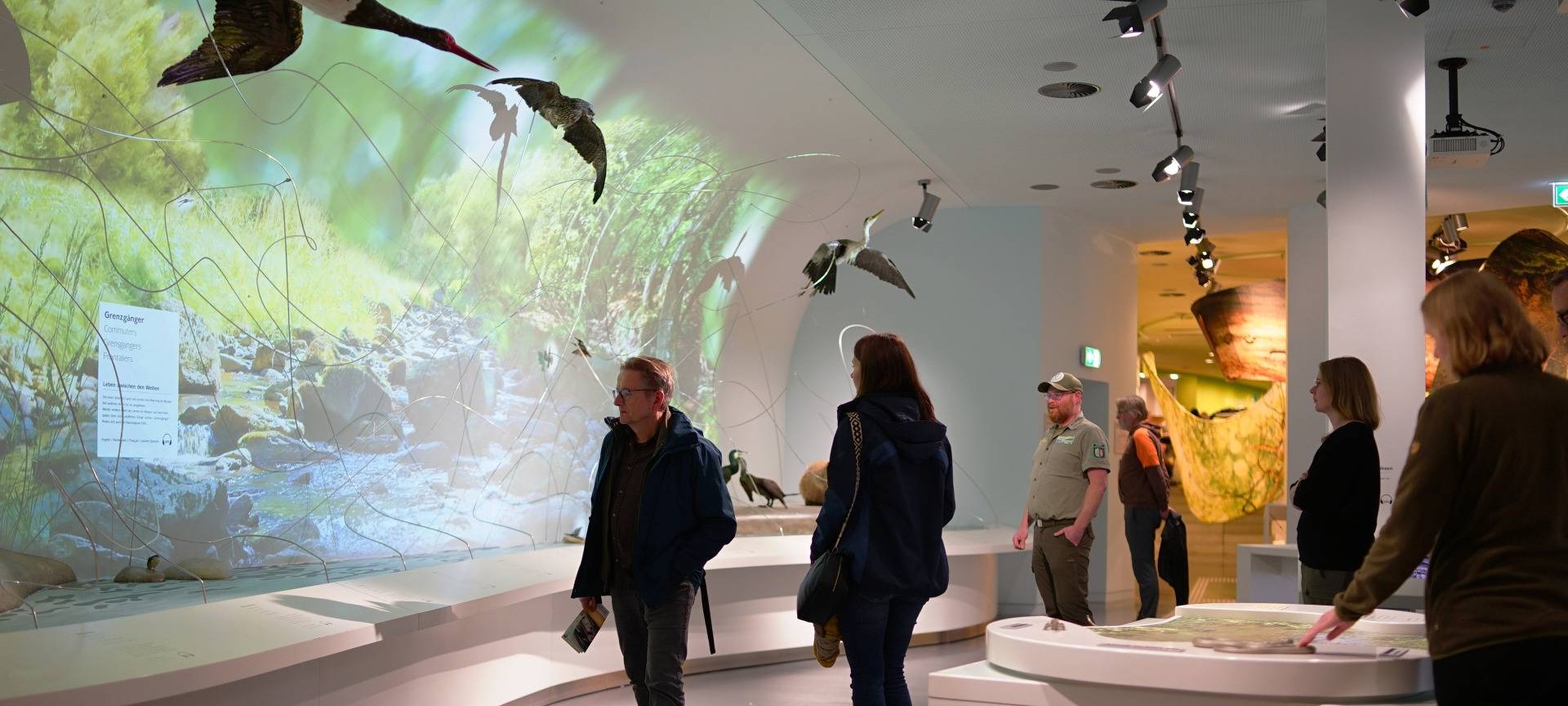 So war 2025 für den Nationalpark Eifel