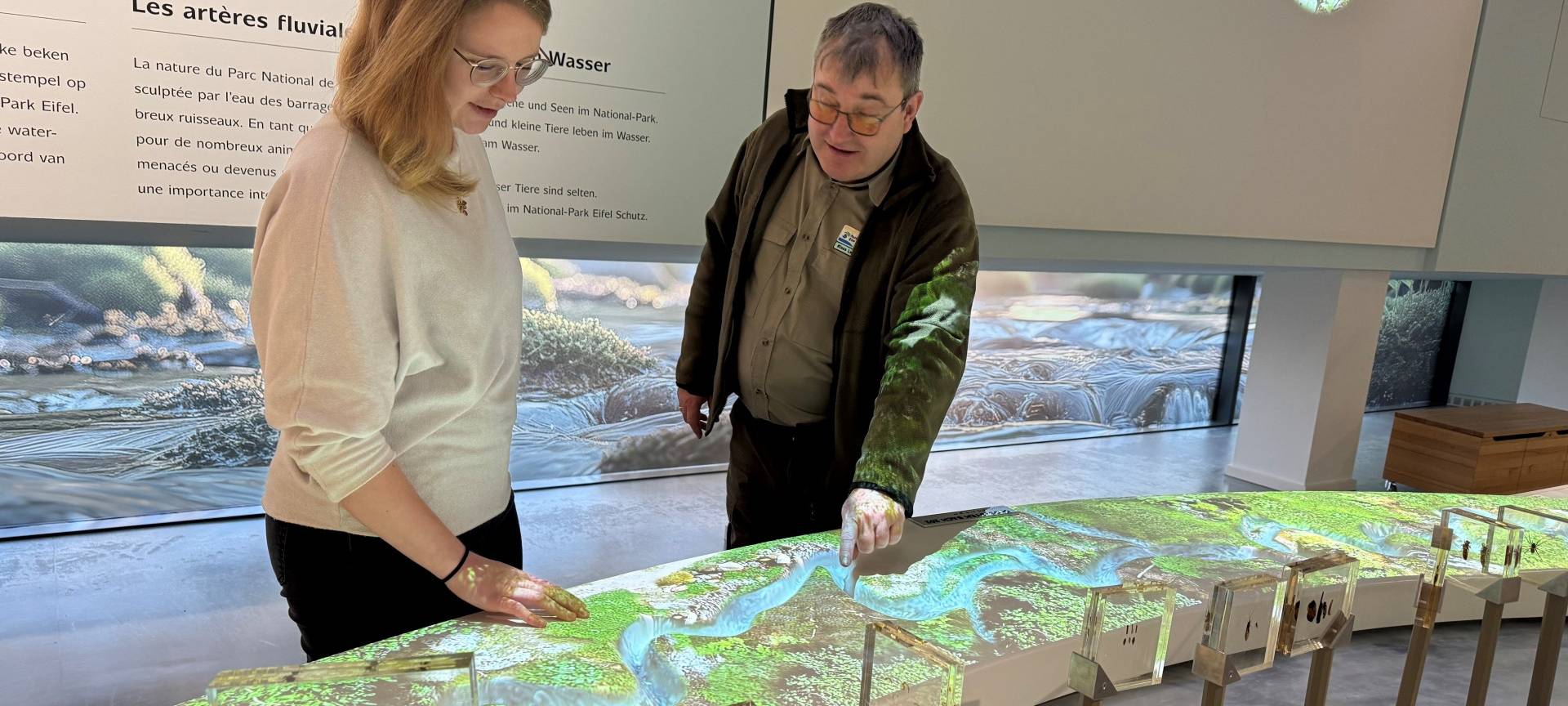 So war 2025 für den Nationalpark Eifel