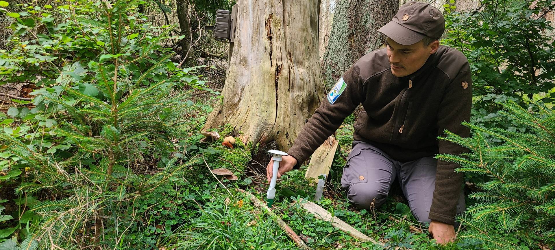 So war 2025 für den Nationalpark Eifel