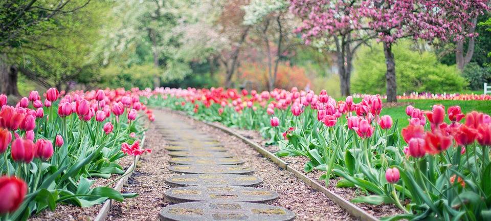 Wettbewerb "Insektenfreundliche Vorgärten in Alsdorf"
