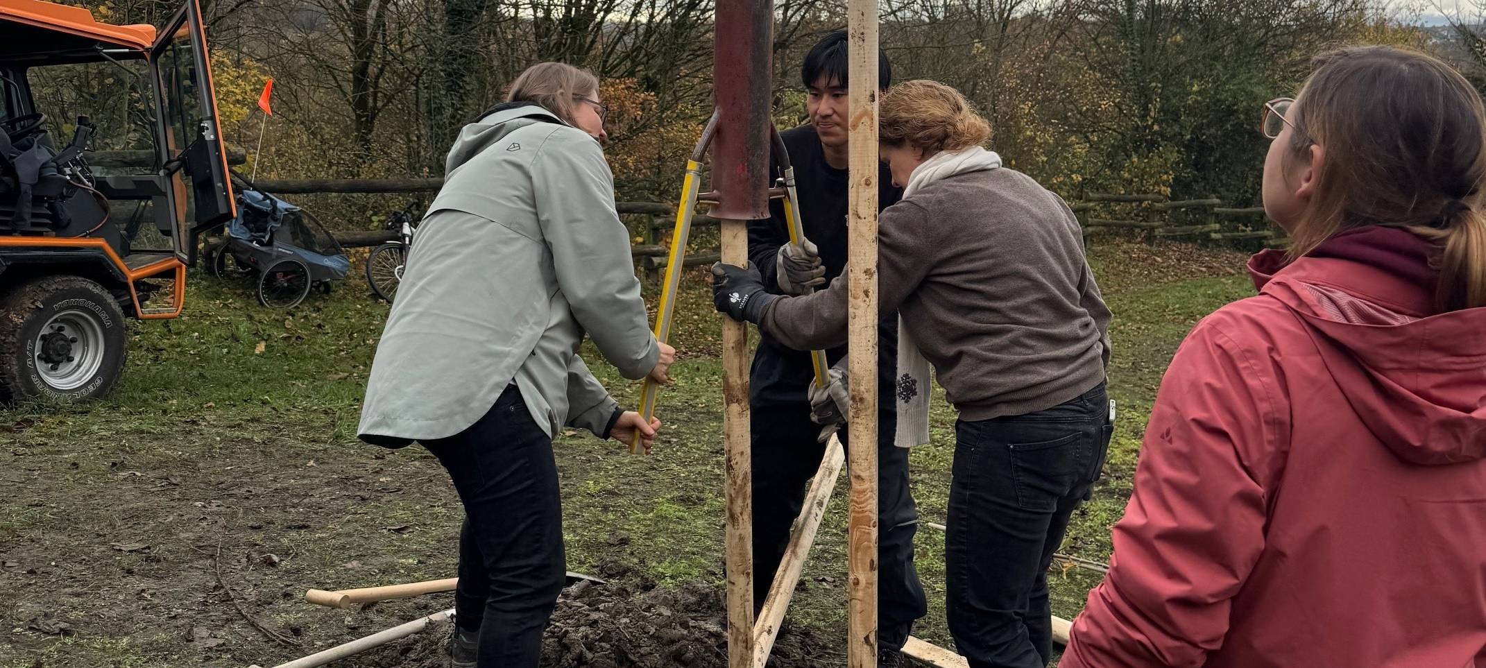 Pflanzungen in Gehlens Kull