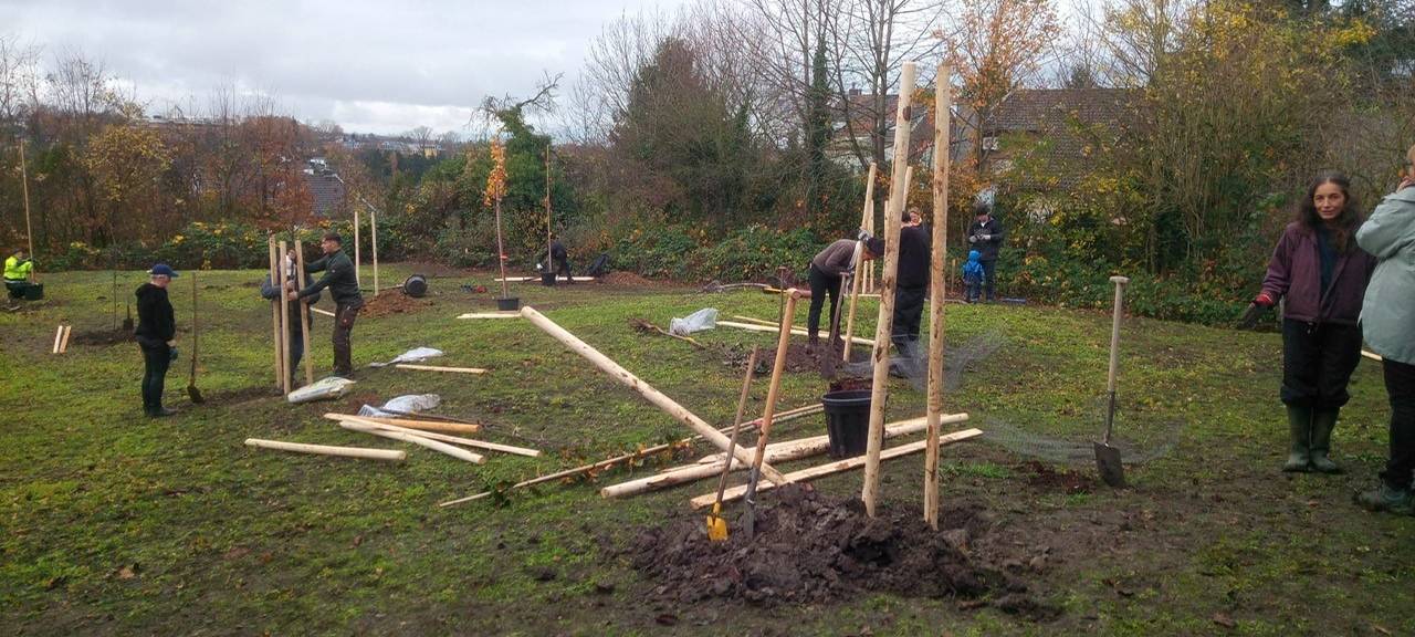 Pflanzungen in Gehlens Kull
