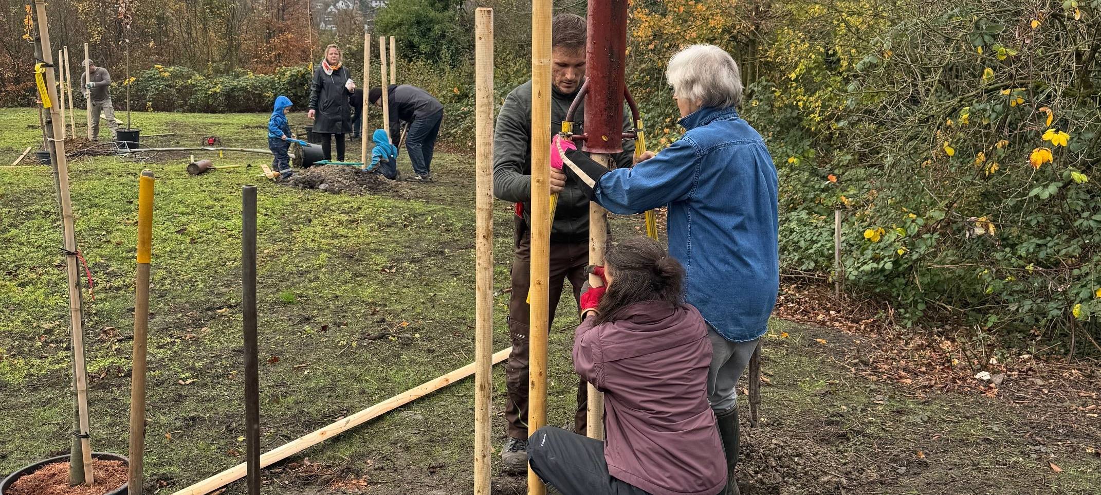 Pflanzungen in Gehlens Kull