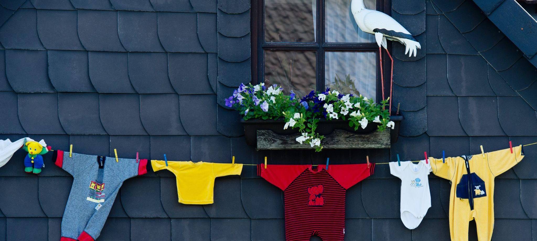 Klapperstorch bringt Nachwuchs