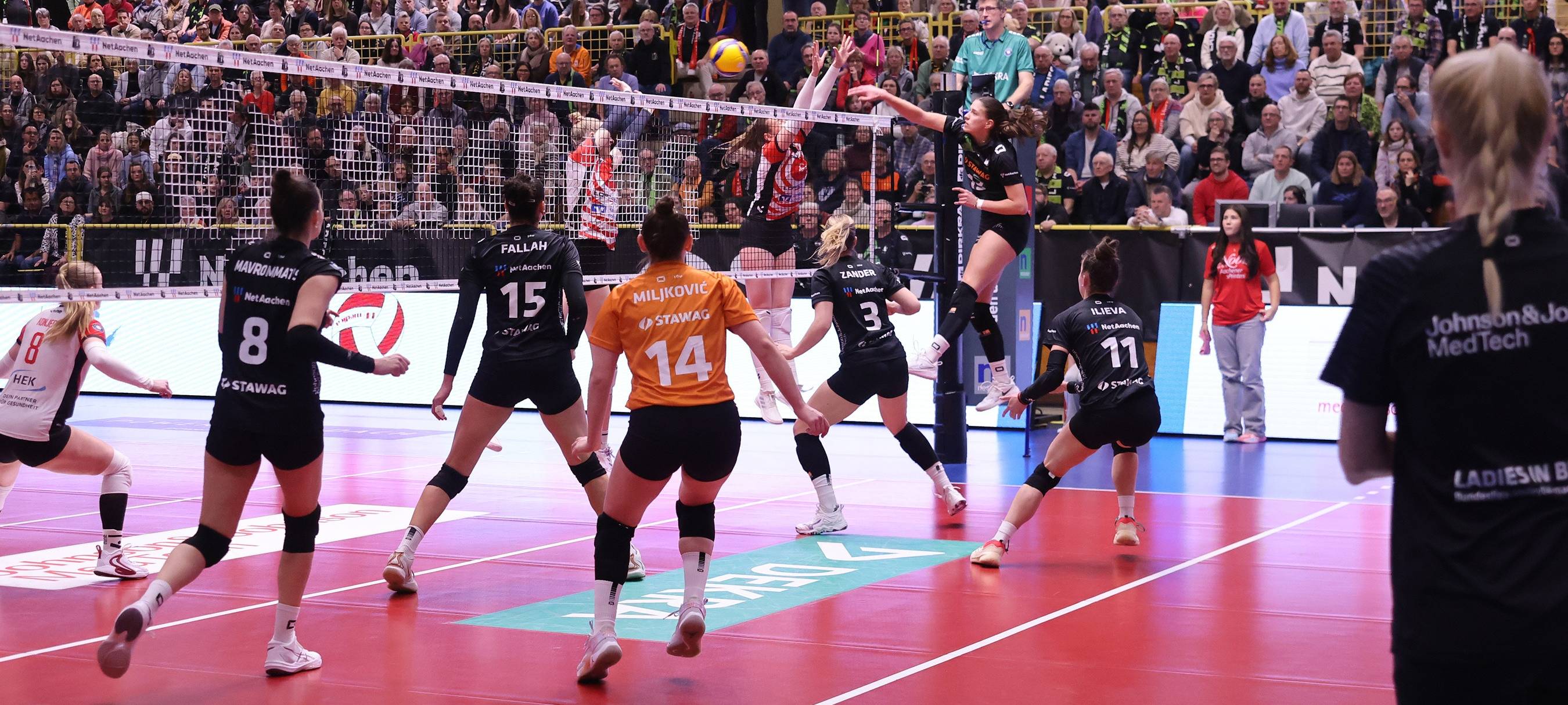 Ladies in Black empfangen am Sonntag die Binder Blaubären