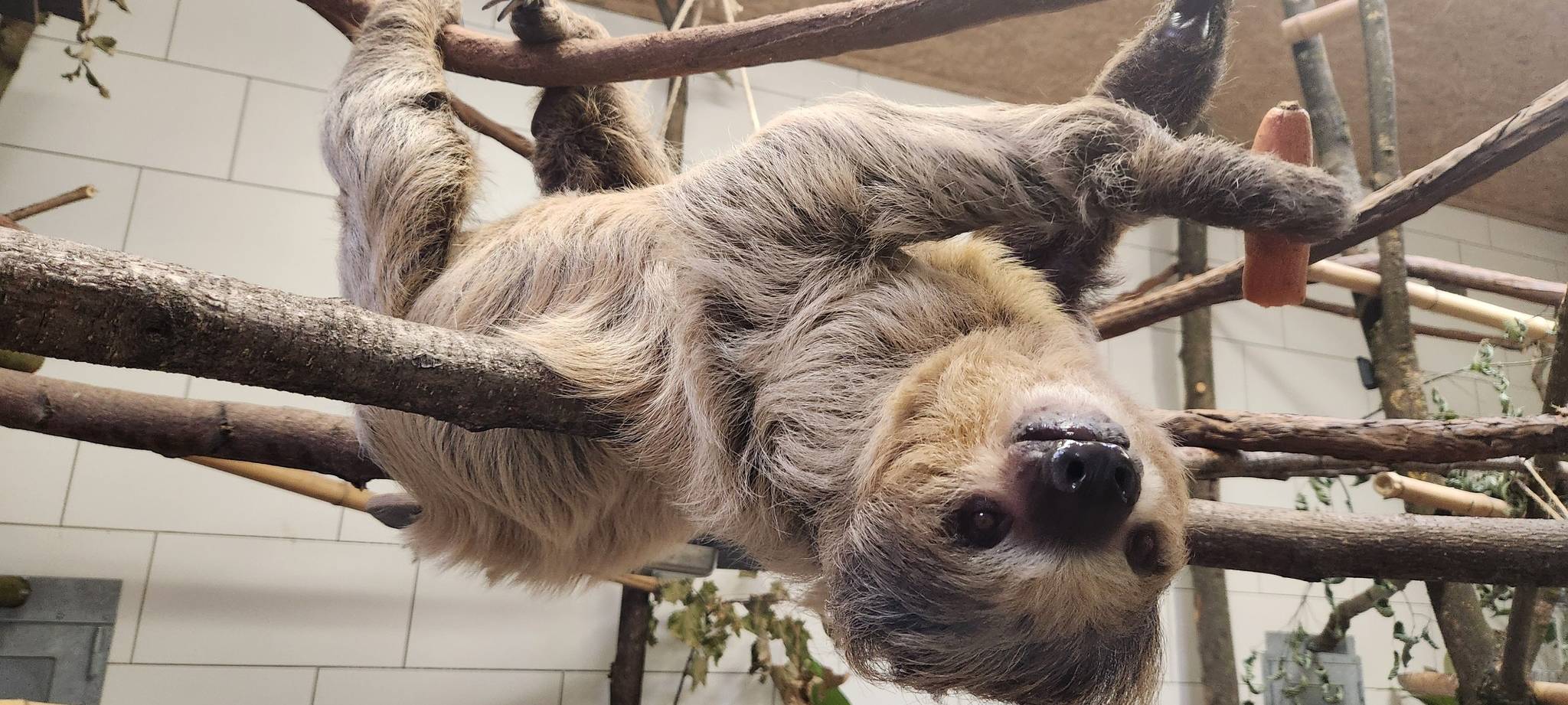 Aachen: Tierpark zieht Bilanz