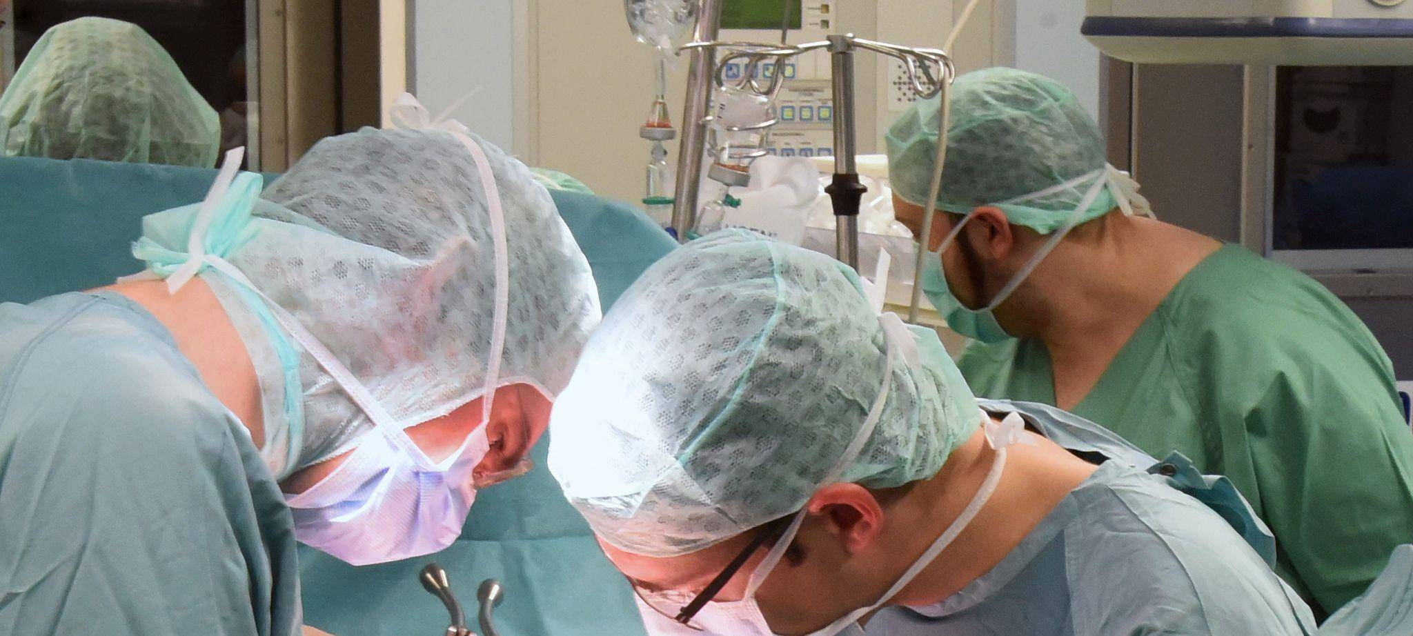 Organspende