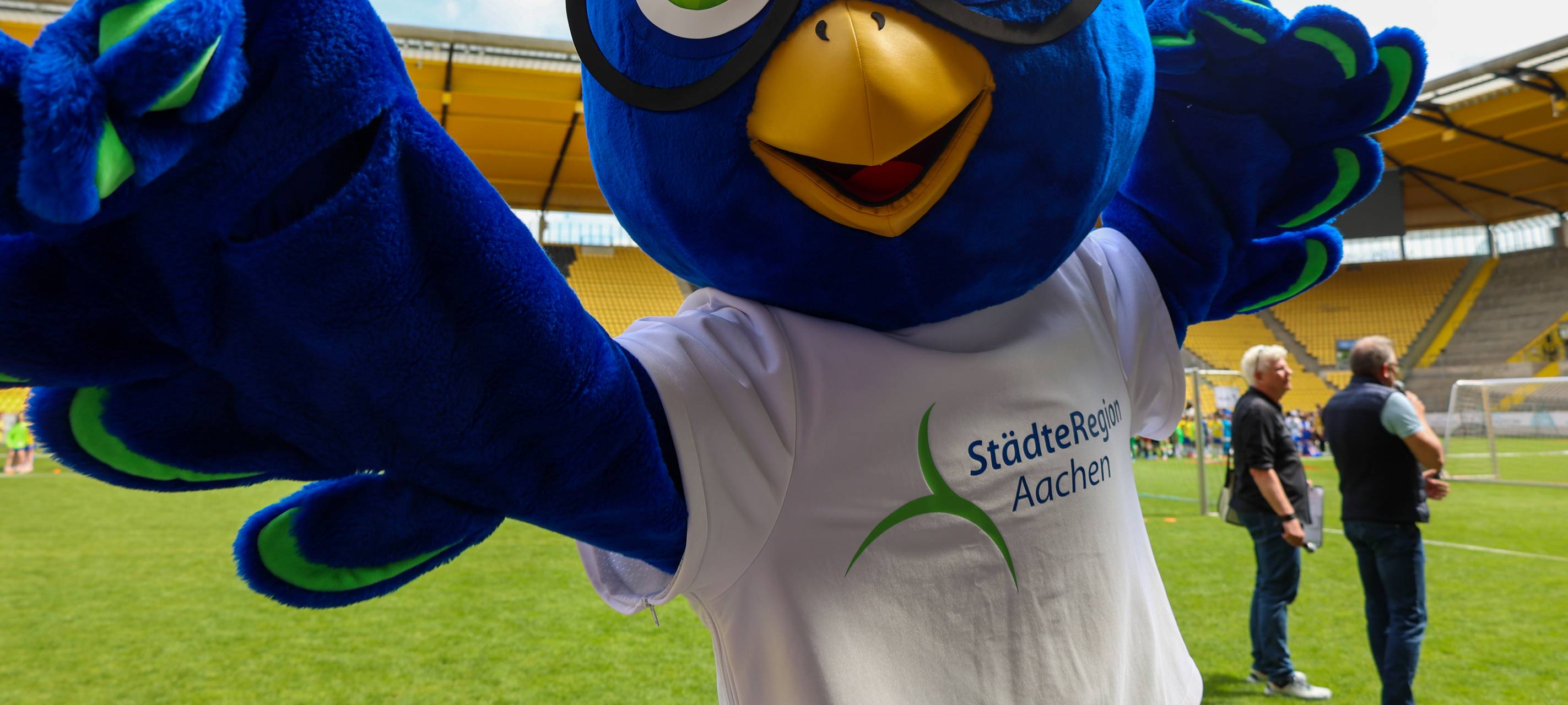 Wie soll das Maskottchen der Städteregion heißen?