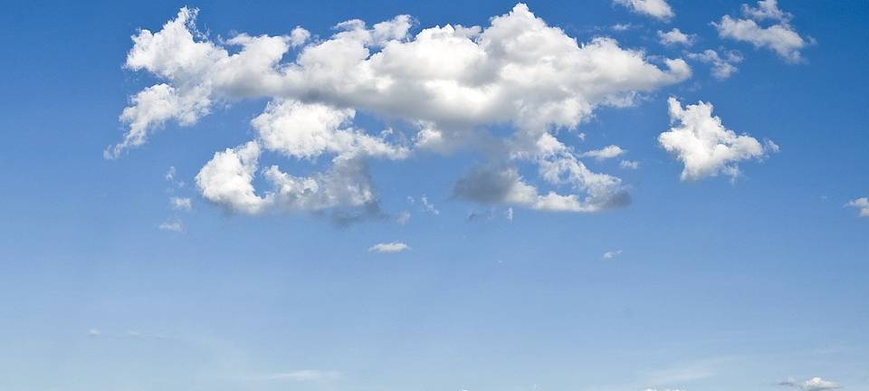 FZJ: Forscher untersuchen Auswirkungen der Hitzewelle