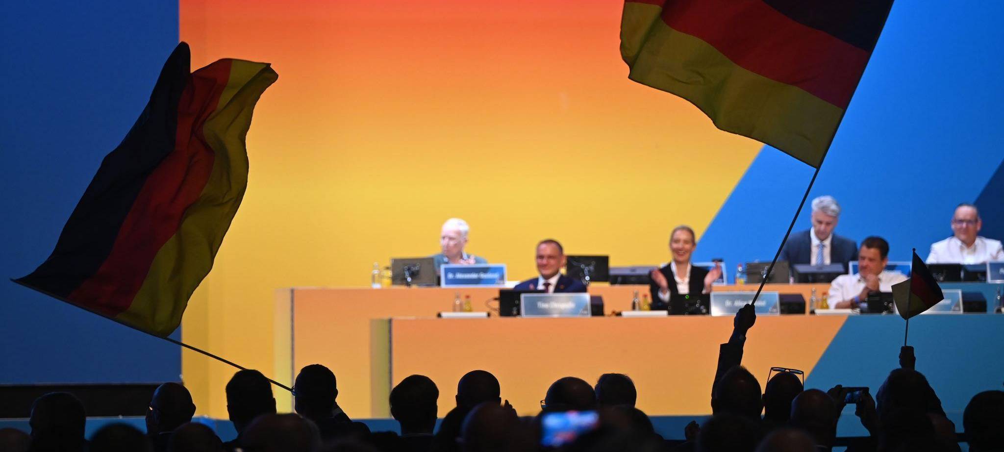 Bundesparteitag der AfD