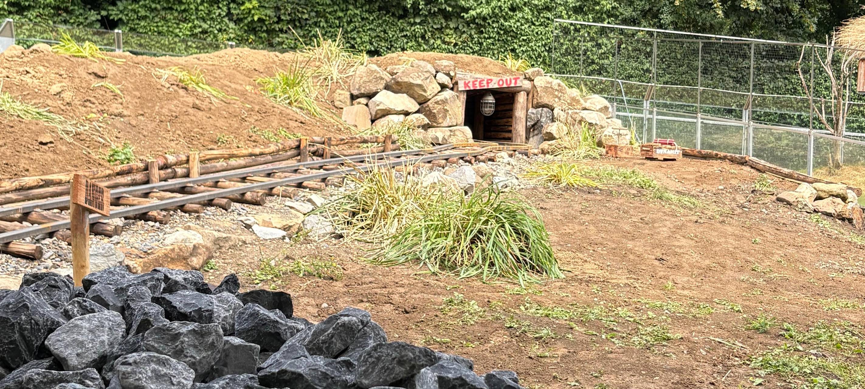 Aachener Tierpark: Neue Präriehunde im neuen Gehege