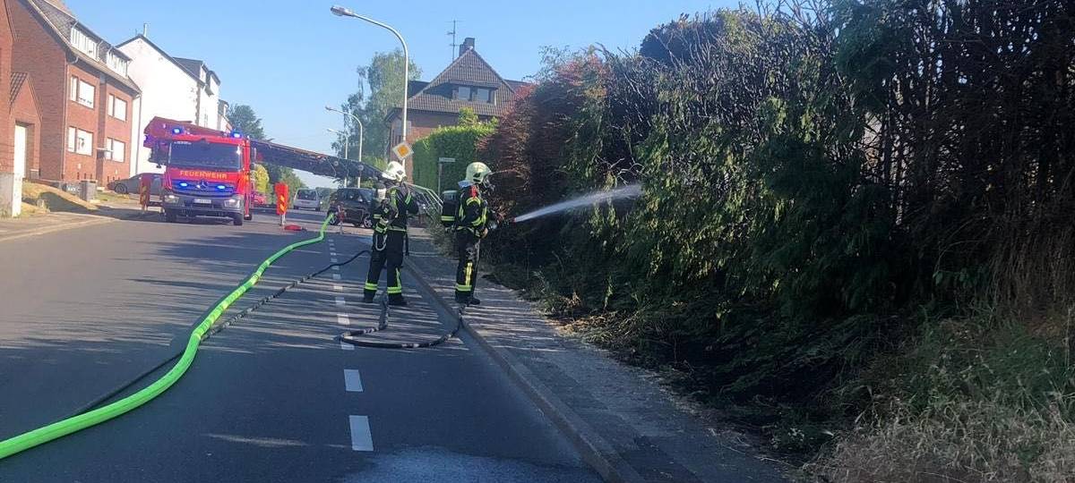 Die Hecke brennt