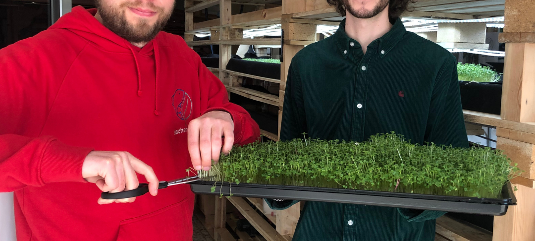 Unterirdische Farm am Aachener Bushof