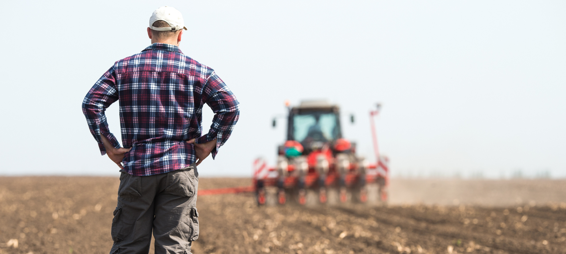 Trockenheit: Landwirte in der Region erwarten Ernteausfälle