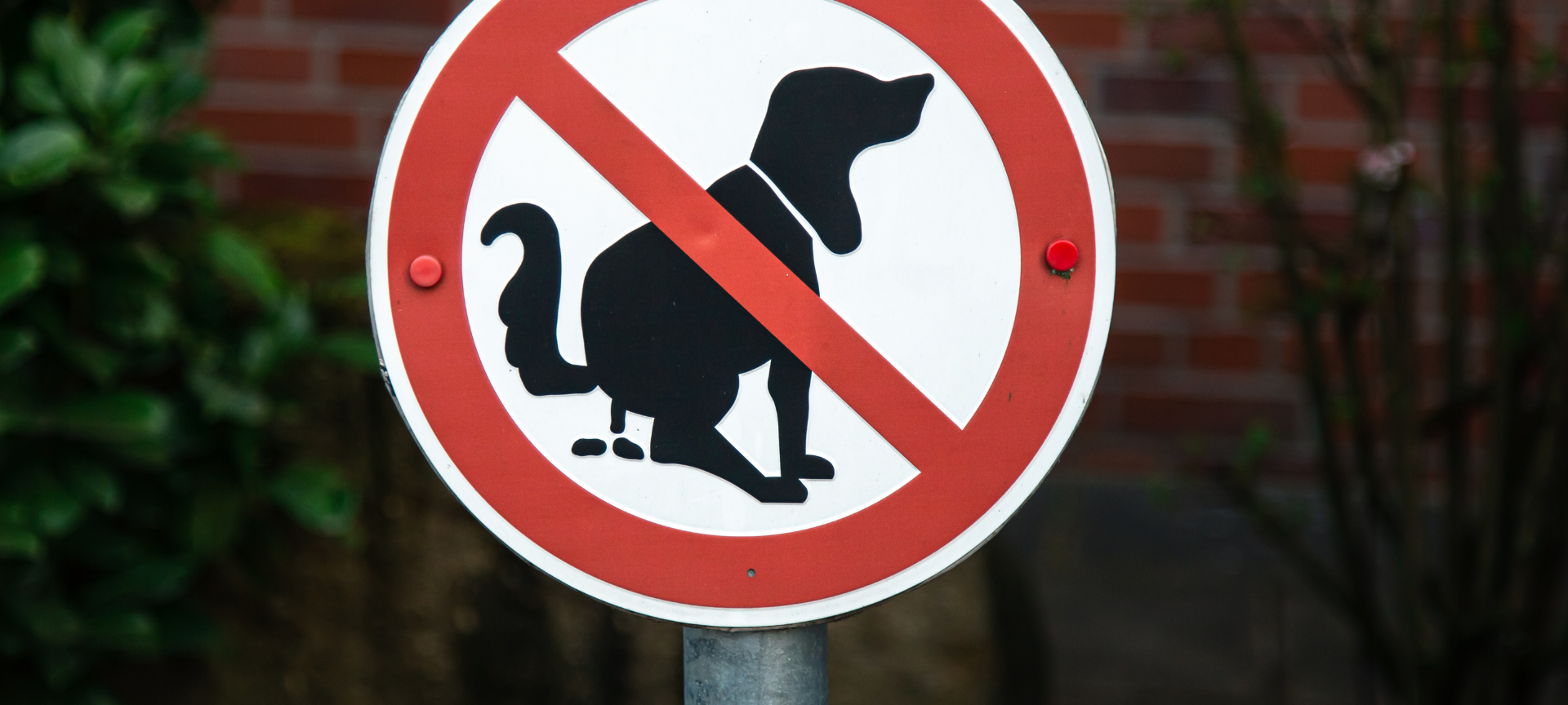 Kohlscheid: Mülleimer mit Hundekot beschmiert