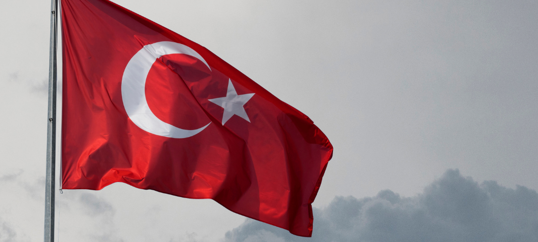 Türkei-Party zum Viertelfinaleinzug