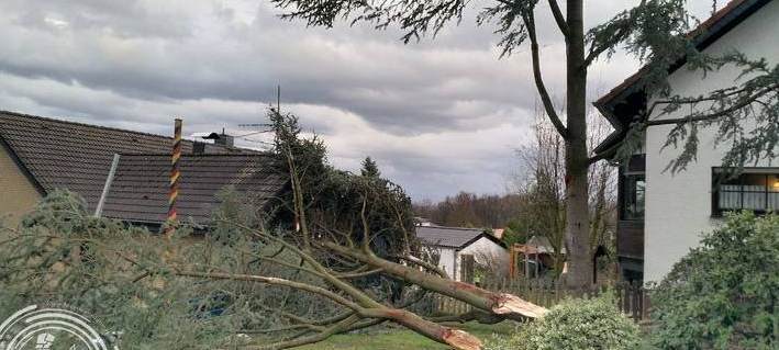 Verteilung der Spendengelder