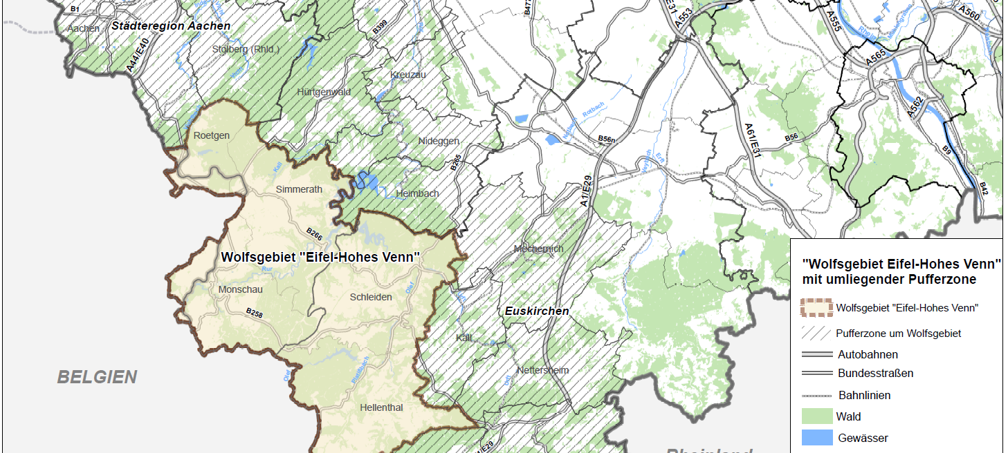 „Wolfsgebiet Eifel – Hohes Venn“ offiziell ausgewiesen